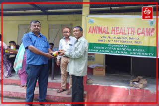 Veterinary camp at Alagazar in Baksa