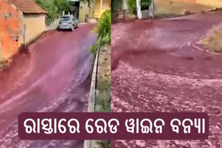 red wine flood in Portugal