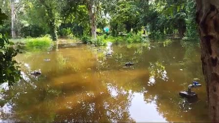 3 lakh saplings damaged in nursery,  Traffic Jam Against Water Logging