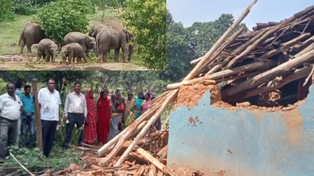 Bagodar Elephant Terror