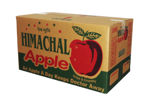 Himachal Apple