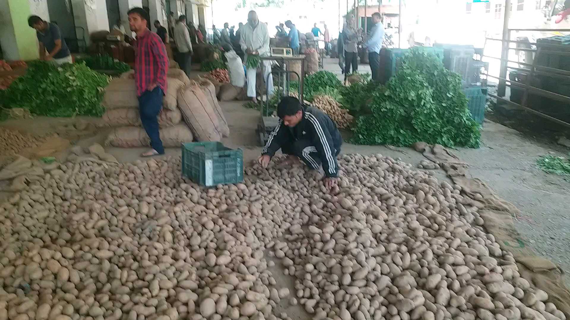 Vegetable market