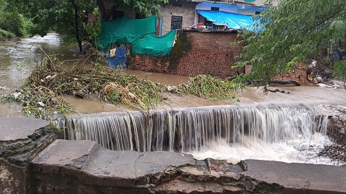 Rajgarh Heavy Rain