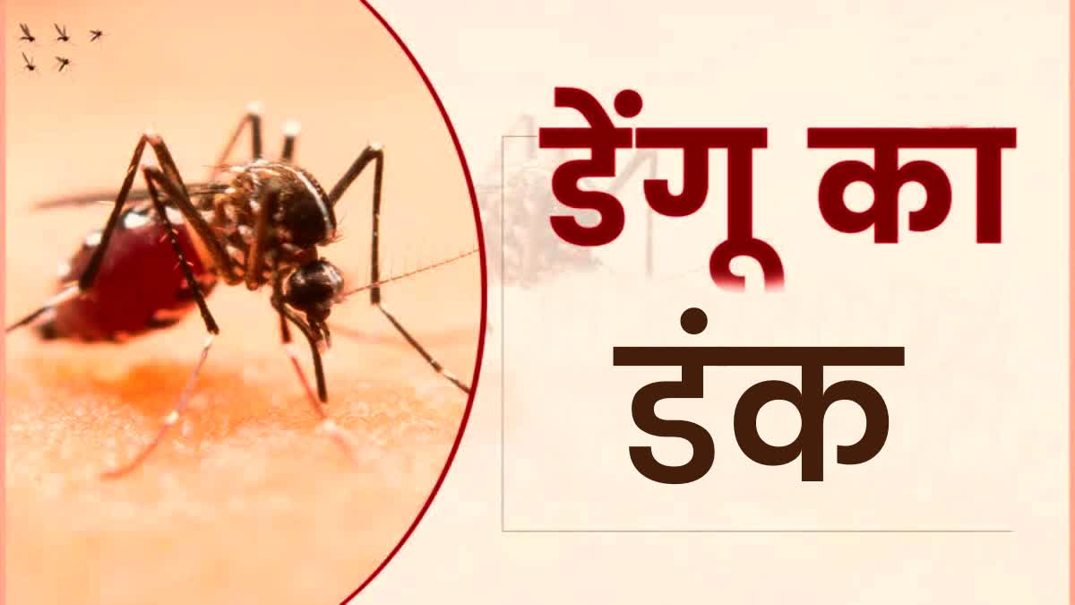 Nainital Dengue Cases