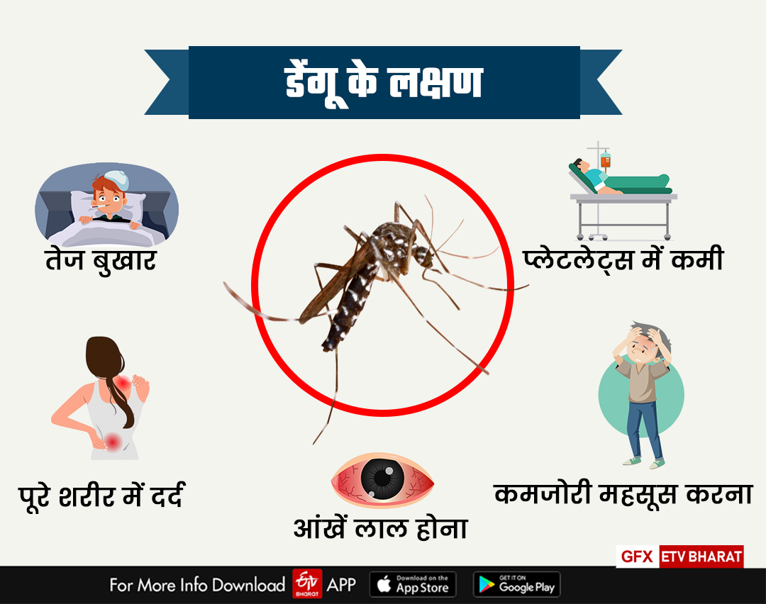 Dengue infection is increasing