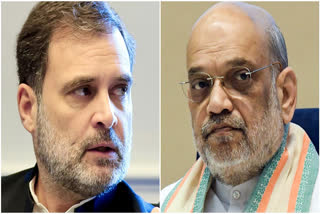 "Making Anti-National Statements Have Become A Habit": Amit Shah Takes Jibe At Rahul Gandhi