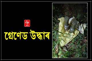 Grenades recovered in Assam village