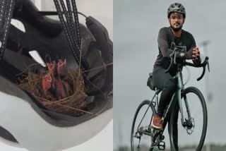 ഹെൽമെറ്റിൽ ബുൾബുൾ പക്ഷി  BULBUL BIRD EGGS IN HELMET  BULBUL LAYS ITS EGGS IN HELMET  ഇരട്ടത്തലച്ചി ബുൾബുൾ