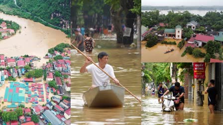 Vietnam Death Toll