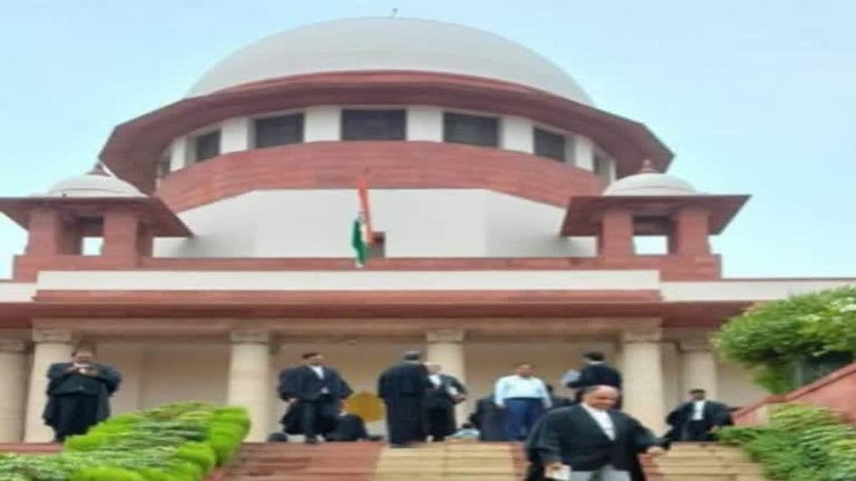 SC On Pregnancy Termination Case