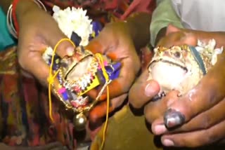 Kovai people held in Frog marriage for rain