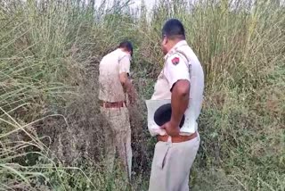 Rewari Crime News Minor Girl Dead Body Found in Rewari