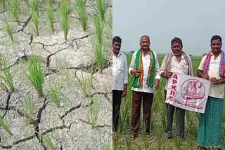 farmers  demond for irrigation water