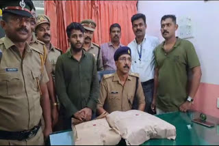 Police Seizure Thailand Ganja In Young Man  police arrested young man for ganja  ganja case in thrissur  ganja case young man arrested  excise arrested youngster in thrissur  തായ്‌ലാൻഡ് നിന്നും കഞ്ചാവ് എത്തിച്ചയാൾ പിടിയിൽ  കേരളത്തിൽ വിൽപനയ്‌ക്കായി കഞ്ചാവെത്തിച്ചയാൾ പിടിയിൽ  ഫാബുല്ലസോ ഹൈബ്രിഡ് കഞ്ചാവ്‌ തൃശ്ശൂരിൽ പിടിയിൽ  കഞ്ചാവ് വിൽപ്പനയ്ക്കായി എത്തിച്ച യുവാവ്‌ പിടിയിൽ  തൃശ്ശൂരിൽ കഞ്ചാവ് എത്തിച്ചയാൾ പിടിയിൽ