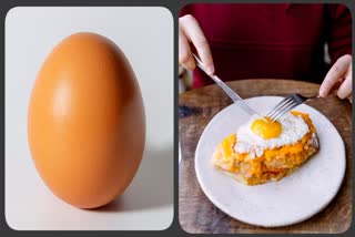 World Egg Day