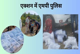 Weapons recovered from smugglers in Barwani