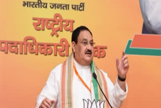 Karnataka HC stays proceedings against J P Nadda in 'undue influence in election' case