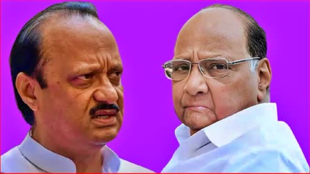 Sharad Pawar on Ajit Pawar