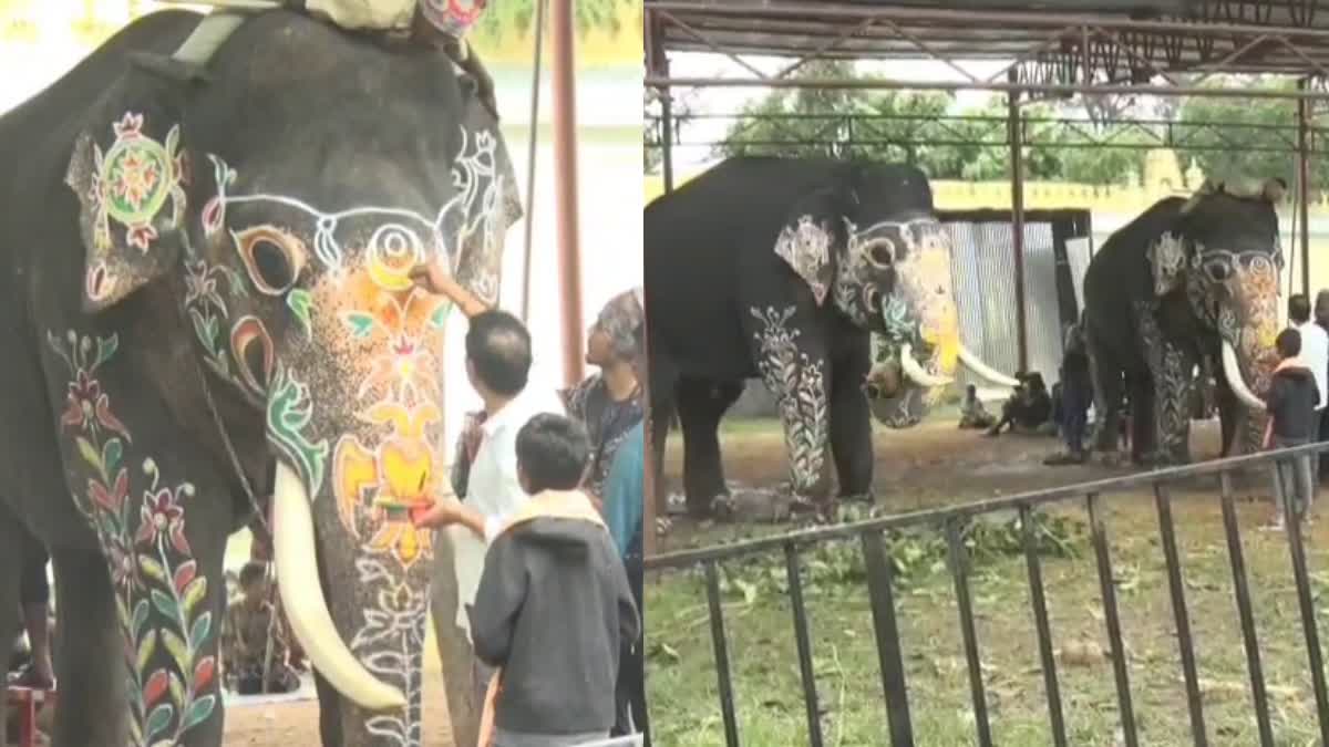 dasara elephants