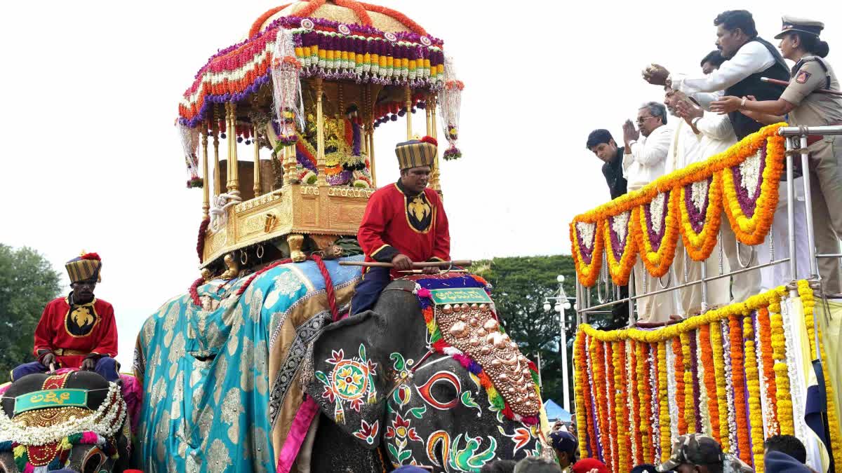 thousands of people witness Jamboo Savari during grand finale of Mysore Dasara festival Karnataka