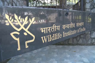 Wildlife Institute of India To Study Climate Change Impact on Himalayas