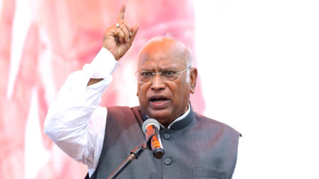 Cong Analysing Haryana Assembly Poll Loss, Booth Wise Report Sought: Kharge