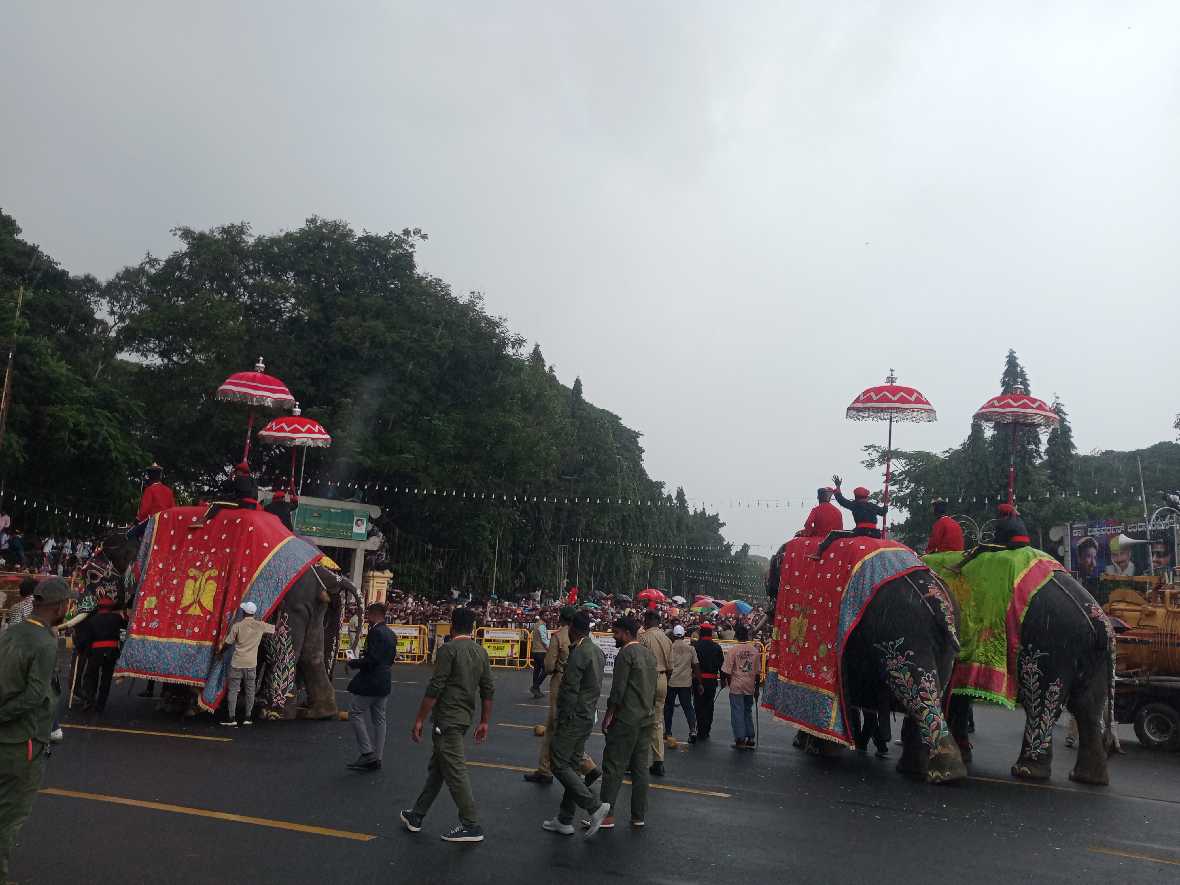 Dasara elephant