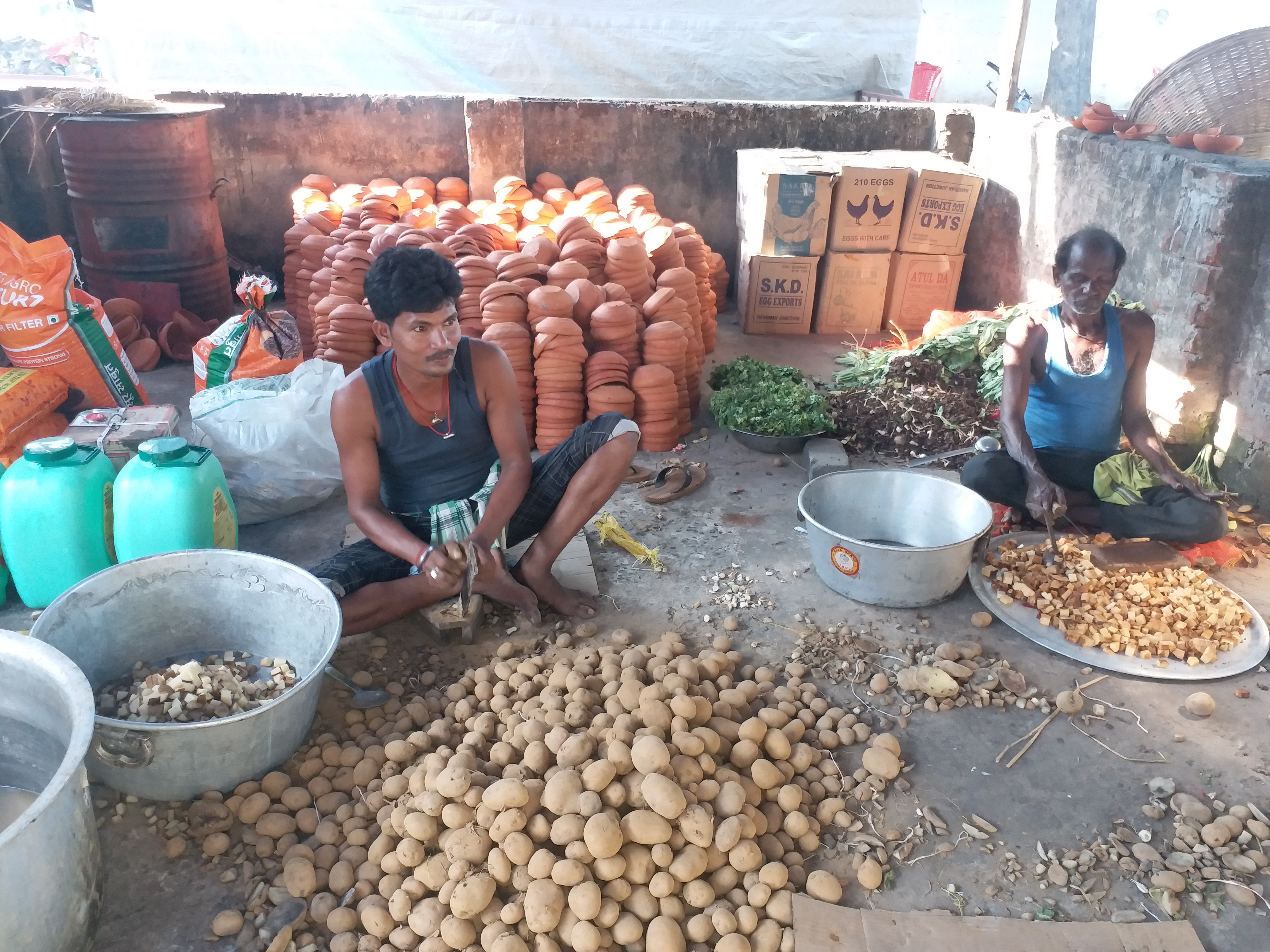 Fish used as prasad