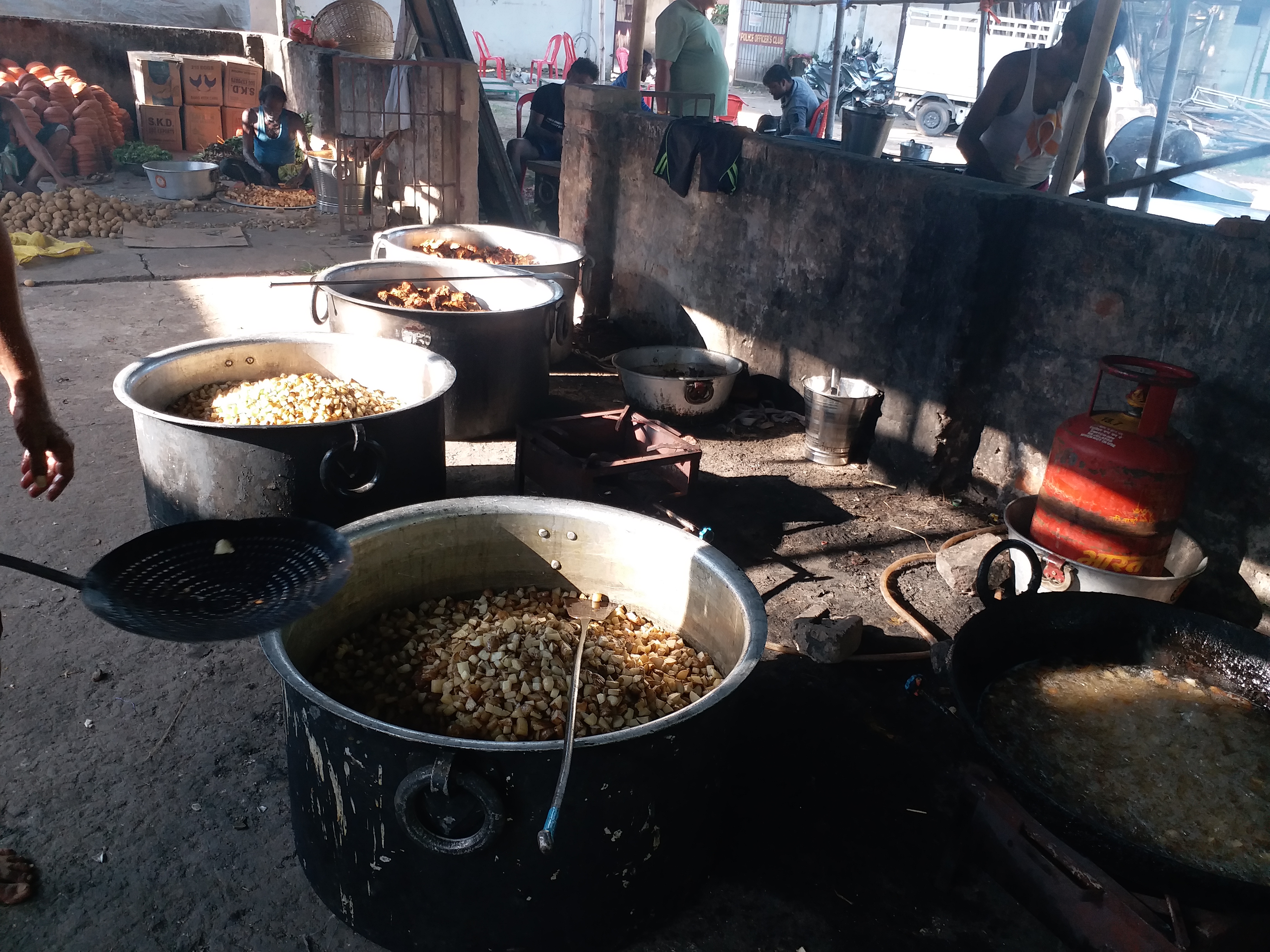 Fish used as prasad