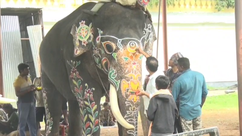 dasara elephants