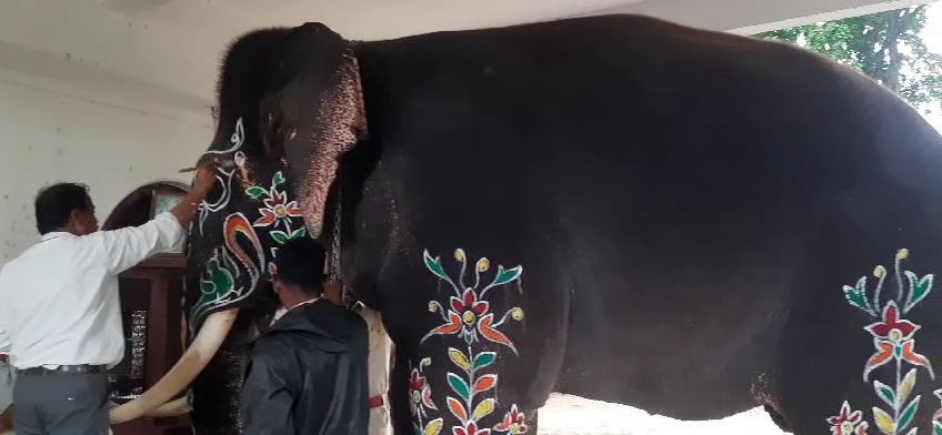 dasara elephants