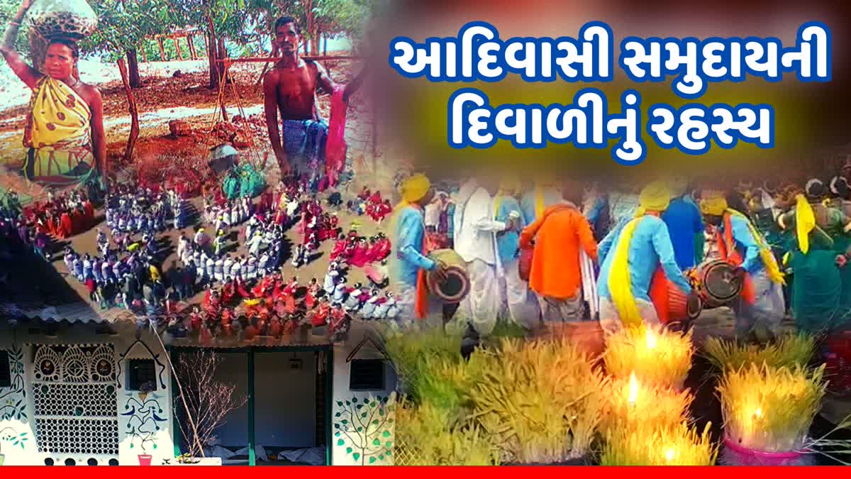 why-tribals-of-surguja-not-celebrate-diwali-surgujatribals-celebrate-diwali-in-name-of-sohrai-on-dev-uthni-eleven-days-after-diwali