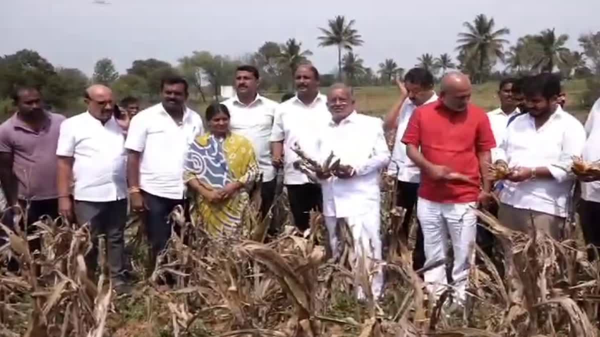 Etv Bharatjds-core-committee-conducted-a-drought-review-in-mysuru