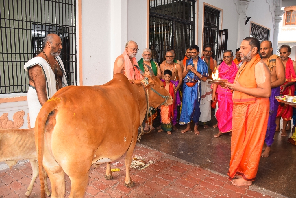 deepavali-celebration-at-manthralaya-raghavendraswamy-math