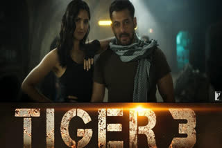Tiger 3 X review: Twitterati impressed as Salman Khan packs a punch, call it 'gigantic blockbuster'