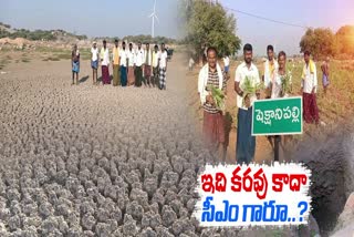 Farmers_Worried_About_Crop_Loss_Due_lack_of_Irrigation