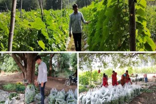 Youth Became Millionaire By Farming