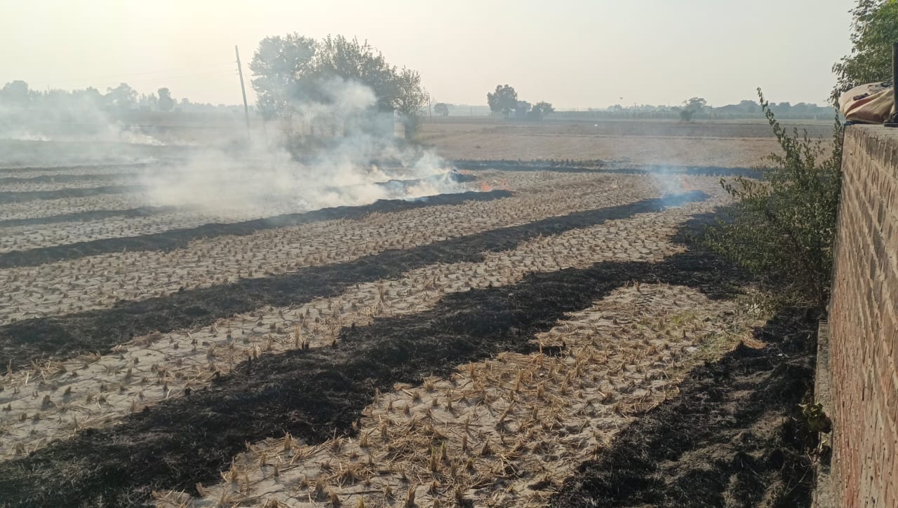 Stubble burning cases in Haryana