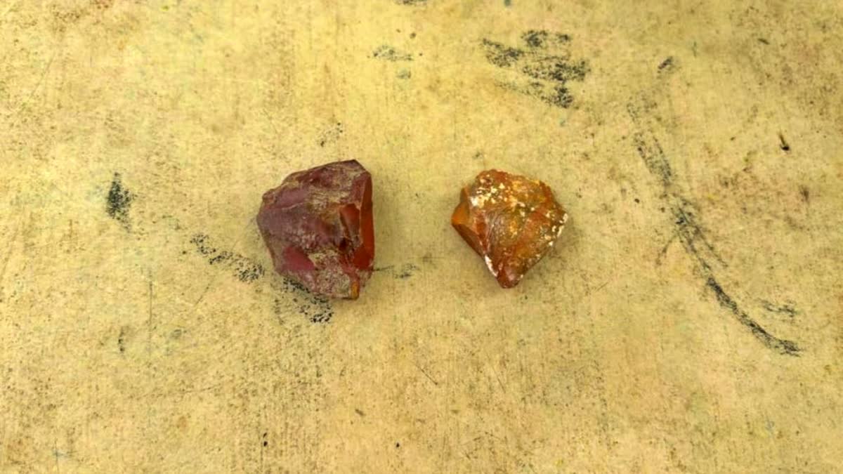 6,000-Year-Old Jewellery-Making Stones Unearthed At Tamil Nadu Excavation Site