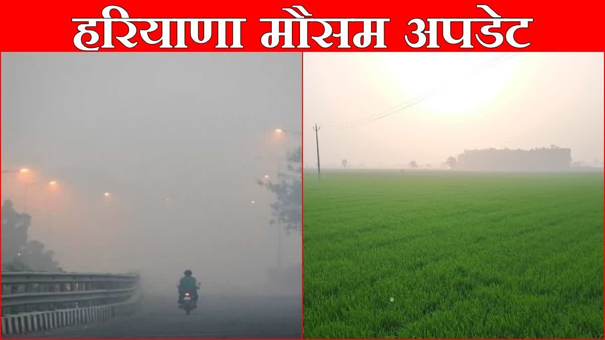 Haryana Weather Update