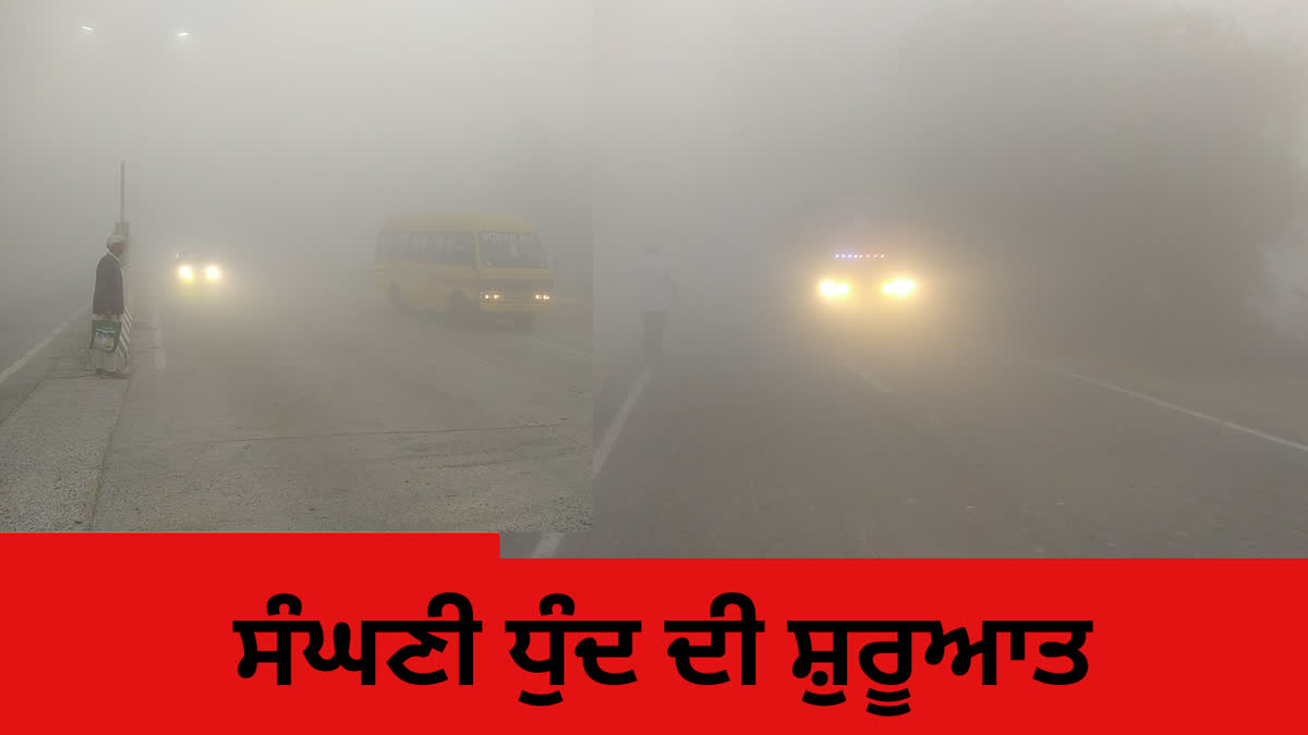 FOG IN BARNALA