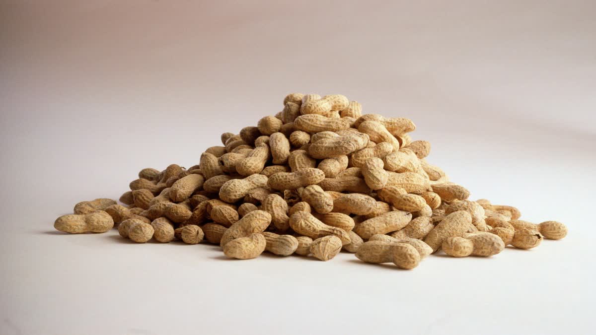 PEANUTS FOR WEIGHT LOSS