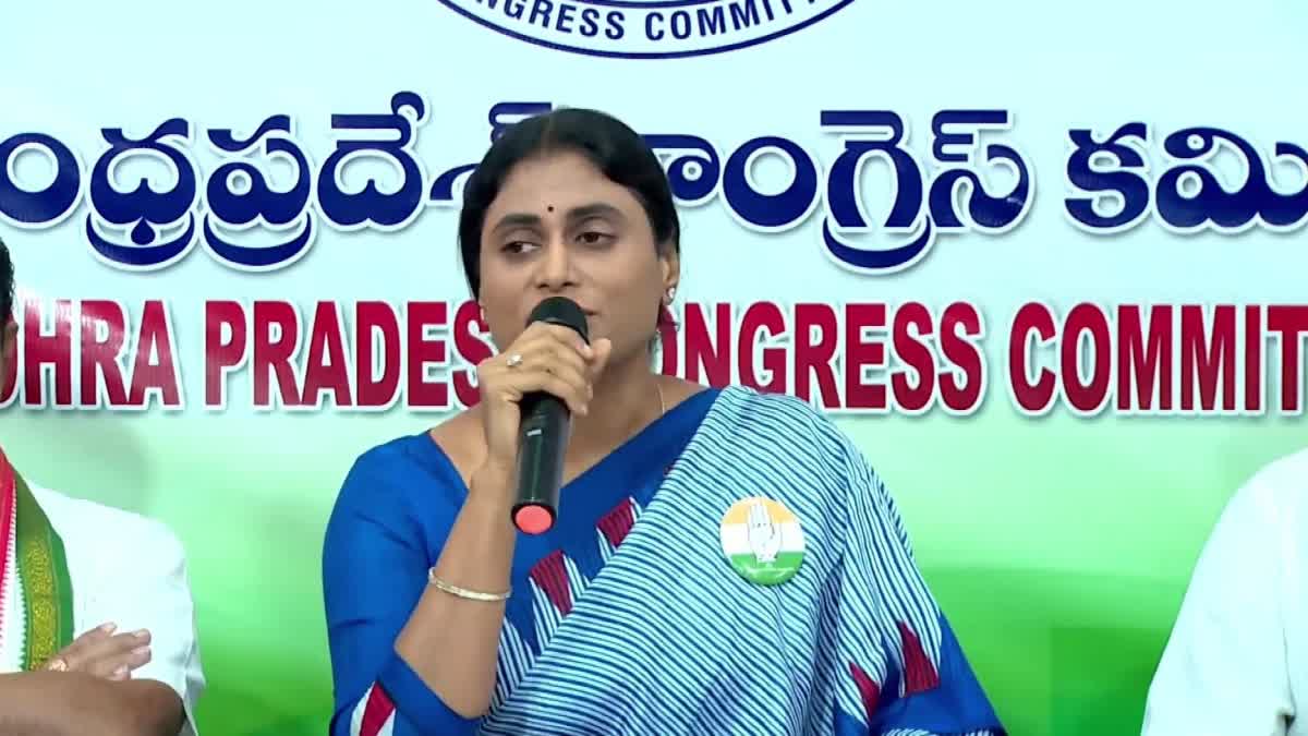 Sharmila Comments on MLA Jagan