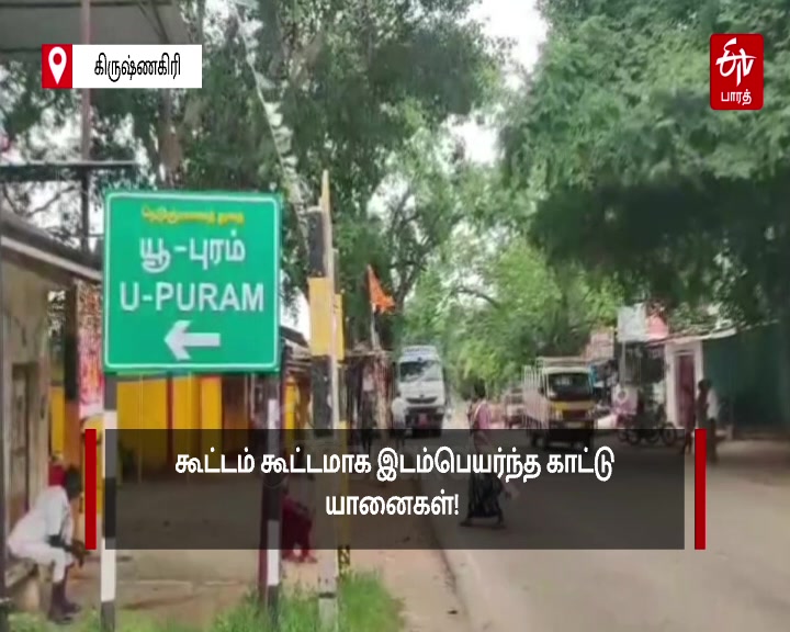 ஈடிவி பாரத் தமிழ்நாடு