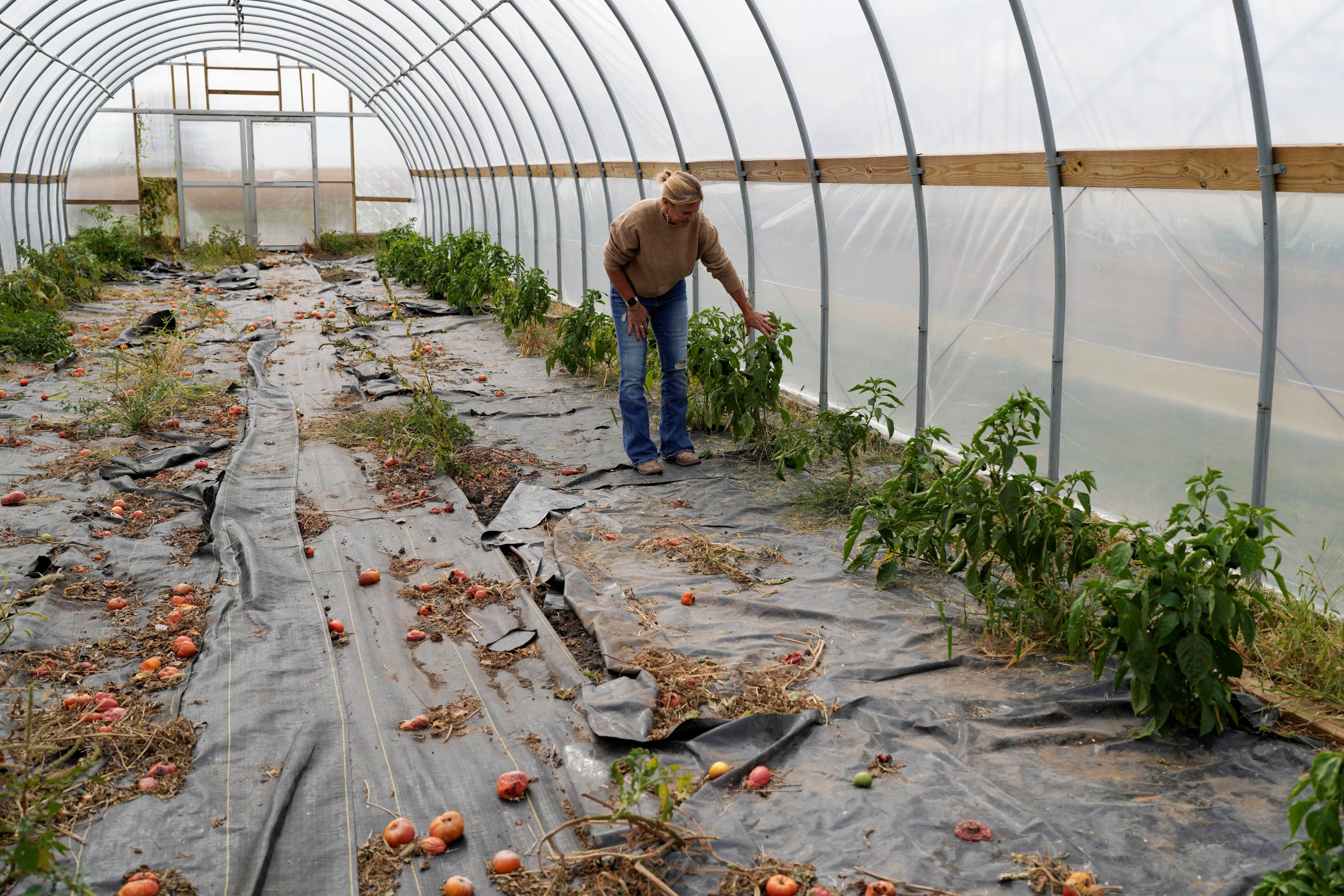 Greenhouse