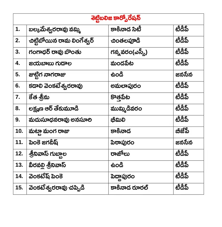 AP Government Appointed Directors to Corporations