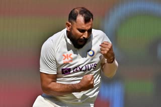 mohammed shami