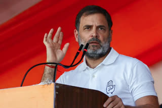 BJP, RSS Working 24 Hours To Finish Off Constitution: Rahul Gandhi