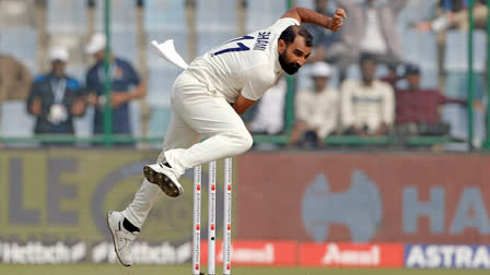 Shami Return