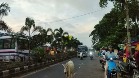 ODISHA WEATHER LATEST UPDATE